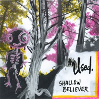 Album cover for Into My Web by The Used