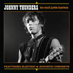 Too Much Junkie Business - Johnny Thunders