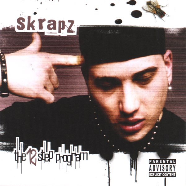 The 12 Step Program - Album by Skrapz - Apple Music