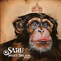 Sweet Dreams (Remix) — Saru