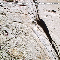 Pinta, Niña & Maria - Danielle Palardy Roger