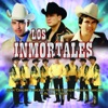 Los Inmortales, 2008