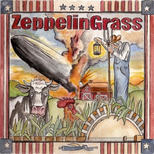 Zeppelin Grass