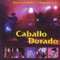 Payaso de Rodeo - Caballo Dorado lyrics