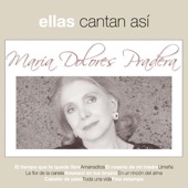 María Dolores artwork