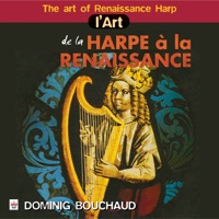 Dominig Bouchaud & Hervé Barreau - Fantaisie n°10 : Que contrahaza la harpa en la manera de Ludovico