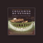 Orchestra Arena di Verona
