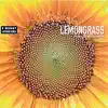 Bee (Sunflower Mix)