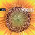 Bee (Sunflower Mix)
