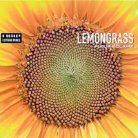 Bee (Sunflower Mix)