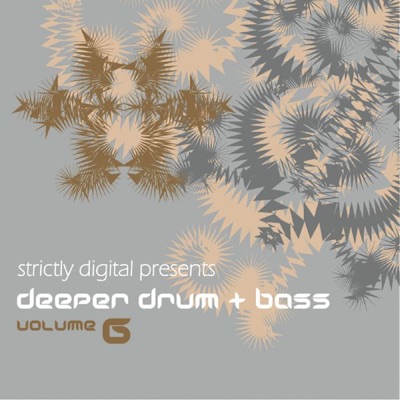 Deeper Drum & Bass, Vol. 6