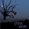 Dark Day - Steve Walsh lyrics