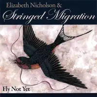 Paddy Fahey's - Cape Breton Reel — Elizabeth Nicholson And Stringed Migration