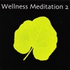 Wellness Meditation 2