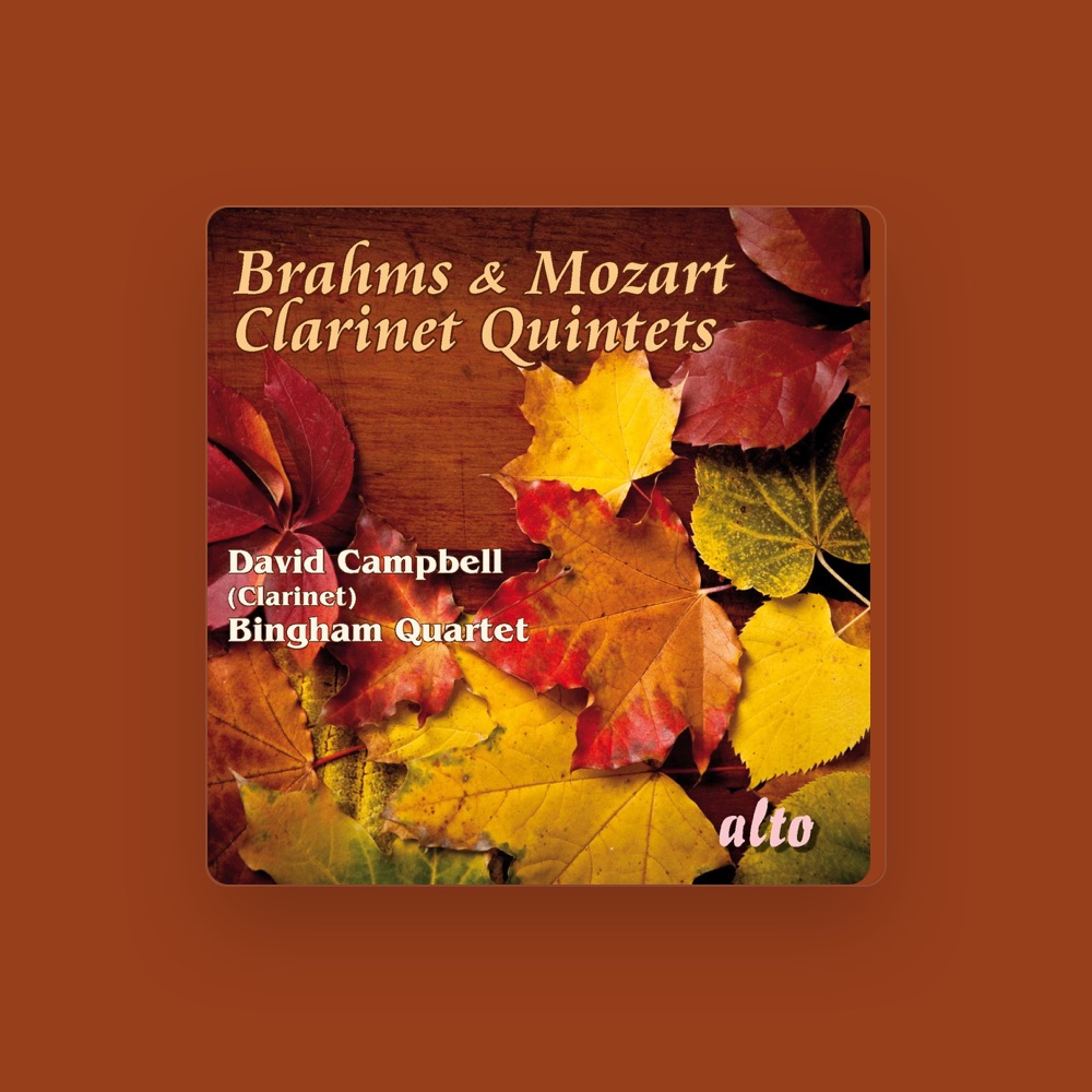 Фото Bingham Quartet