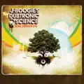 Boogie's Dubtronic Science