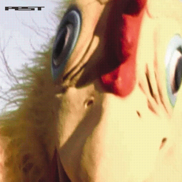Chicken Spit - EP