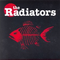 The Radiators - You Can't Keep No Secrets from the Holy Ghost
