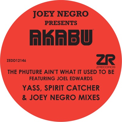 The Phuture Ain't What It Used to Be (Yass, Spirit Catcher & Joey Negro Remixes) [with Akabu] [feat. Joel Edwards]