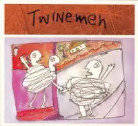 Watch You Fall — Twinemen
