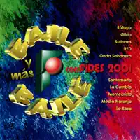 No Podré Olvidarte (Remix Version)