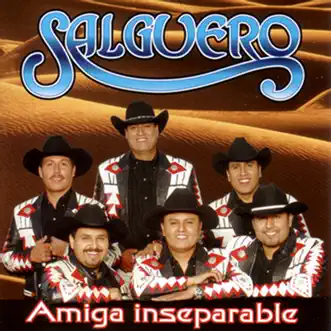 Por Amarte Asi by Salguero song reviws