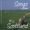 Jetzt läuft: Stand in the Light - Golden Bough
