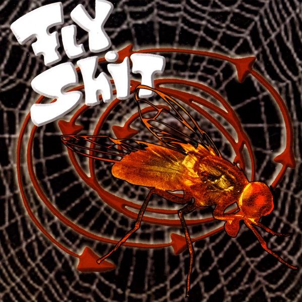 Fly shit