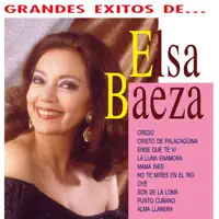 Ende Que Te Vi — Elsa Baeza