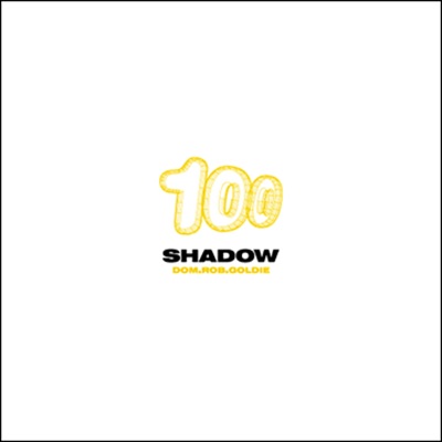 The Shadow (Bing Here Mix)