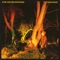 Crocodiles - Echo & The Bunnymen lyrics