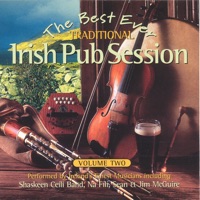 The Best Ever Traditional Irish Pub Session - Volume 2 by Various Artists on Apple Music