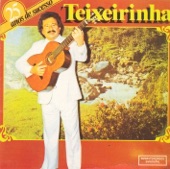 Teixeirinha - Tordilho Negro