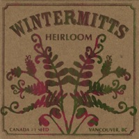 Album cover for Crossing Bridges by Wintermitts