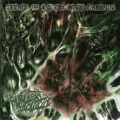 Purulent Jacuzzi - Maturating Cystic Sores