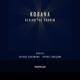 Behind the Mirror Remixed Single