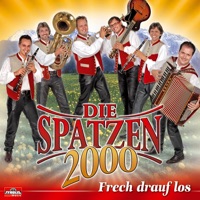 Die Spatzen 2000 - Lustige Heimfahrt