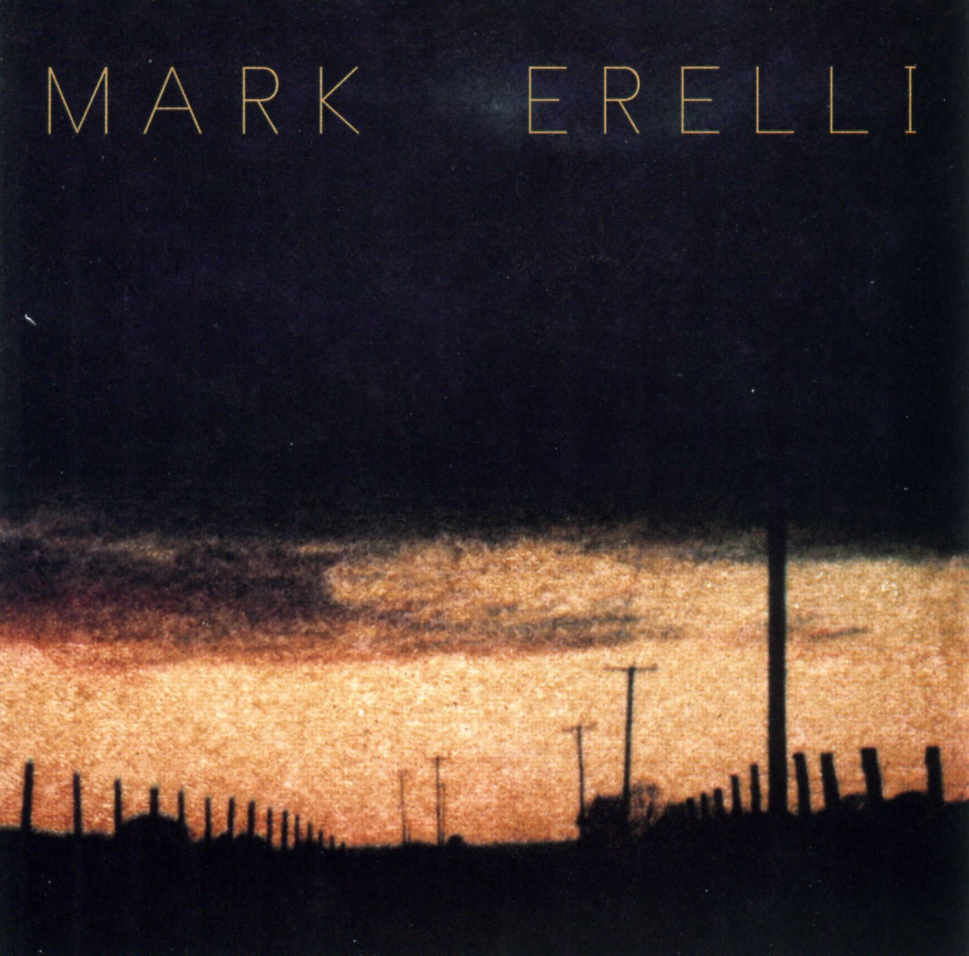 Mark Erelli
