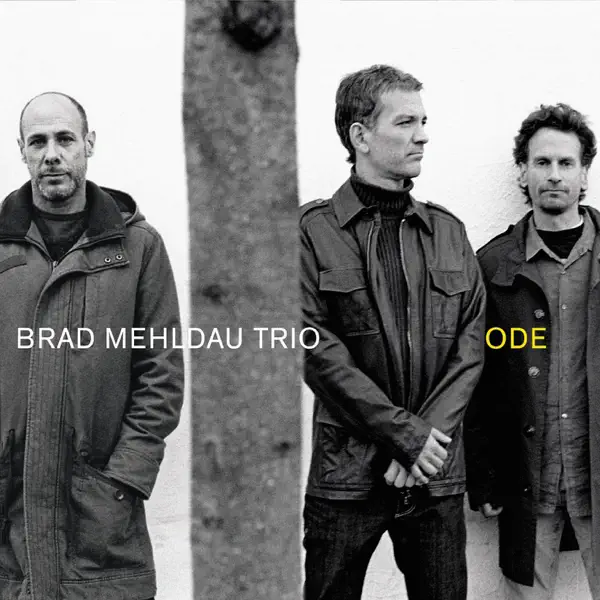 Dream Sketch — Brad Mehldau Trio