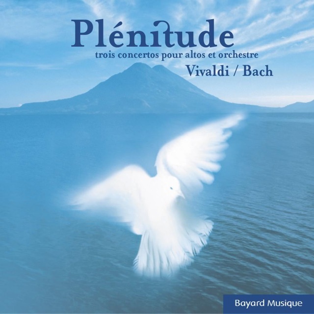 Concerto En Sol Mineur, RV 531: I. Allegro