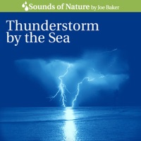 Thunderstorm By the Sea - Joe Baker