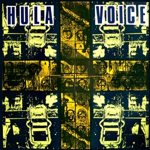 Voice