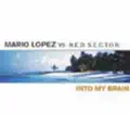 Into my brain (Plug ' N ' Play Club Edit)
