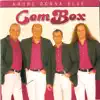 ComBox - Was weisst denn du schon von der Liebe