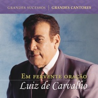 Luiz De Carvalho - Não Imãginava