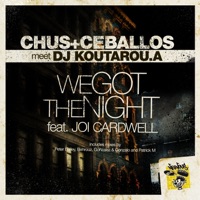 We Got the Night (Chus & Ceballos meet Koutarou.A) [feat. Joi Cardwell] - Chus & Ceballos & DJ KOUTAROU.A
