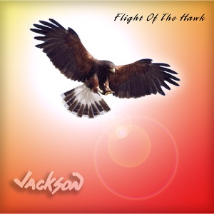 Soaring Eagle