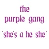 He She cover art