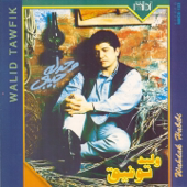 Wahdak Habibi - وليد توفيق Cover Art