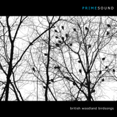 Cover art for British Woodland Birdsongs by Prime Sound